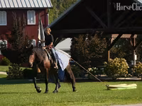 Pastuv, Racking Horse — fotografija 8
