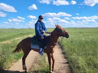 Pastuv, Thoroughbred horse — fotografija 1