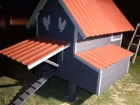 Tyúkól, csibeól — zdjęcie 5