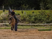 Horse (M), Horses — photo 6