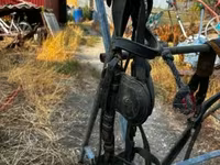 公马, Horses — 照片 8