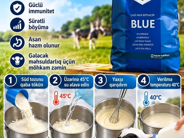 SPRAFYO BLUE – buzov süd əvəzedicisi/quru süd/buzov üçun quru