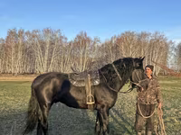 Pastuv, Kustanai horse — fotografija 1
