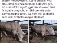 Cattle (batch, sex not specified), Cattle — photo 1