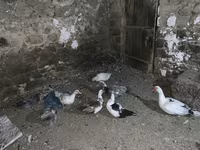 Шығыс Үнді — 3-сурет