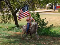 Pastuv, Коњи — fotografija 7