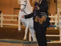 Kobila, Miniature horse — fotografija 6