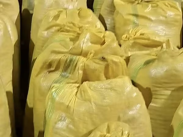 Каша патка моллар