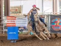 Pastuv, Quarter Horse — fotografija 3