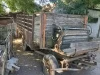Бие, Жылқылар — 7-сурет