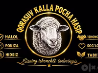 Qoyunlar (partiya, cinsi göstərilməyib), Qoyunlar — foto 1
