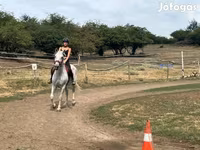 Yegua, Hungarian horse breed — foto 2