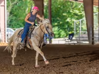 Pastuv, Quarter Horse — fotografija 6