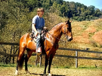Pastuv, Tennessee Walking Horse — fotografija 2