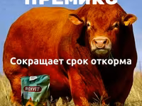 Для быстрого откорма КРС и МРС — 1-сурет