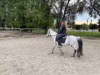 Koń, Konie — zdjęcie 5