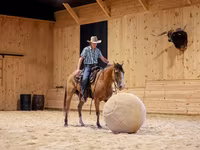 Pastuv, Quarter Horse — fotografija 6