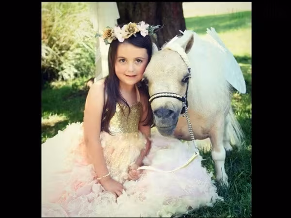 Mare, Miniature horse