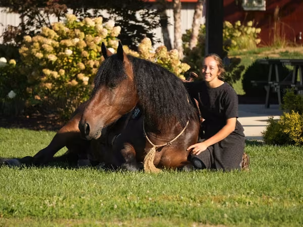 Pastuv, Racking Horse