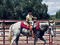 Kobila, Quarter Horse — fotografija 8