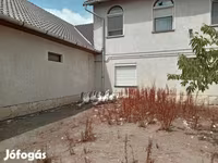 Geese — photo 3