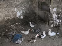 Шығыс Үнді — 2-сурет