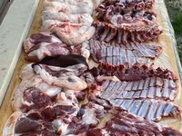 Carneiro, Ovelhas — foto 4
