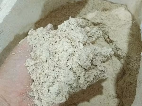 Мучка ячменная