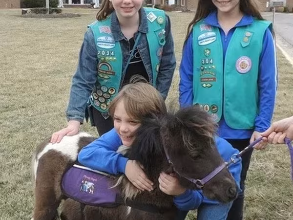 Pastuv, Miniature horse