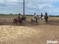 Caballo, Caballos — foto 8