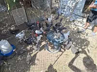 Chickens — fotografija 6