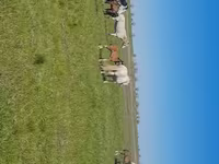 Égua, Kazakh horse — foto 7