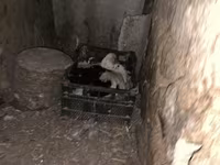 Шығыс Үнді — 5-сурет