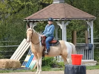 Pastuv, American paint horse — fotografija 8