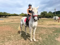 Égua, Hungarian horse breed — foto 3