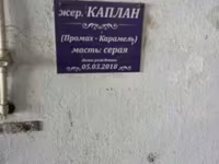 At, Orlov Trotter — foto 3