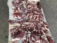 Carneiro, Ovelhas — foto 7