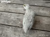 Quails — الصورة 2