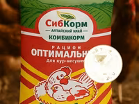 Комбикорм для КУР-НЕСУШЕК — foto 1