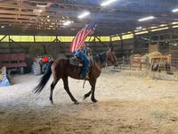 Pastuv, Standardbred — fotografija 1