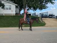 At, Quarter Horse — foto 6