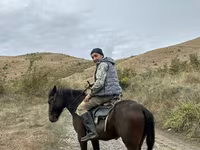 Horse (M), Azerbaijan horse — photo 3