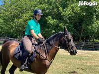 Horse (M), Furioso-North Star — photo 4