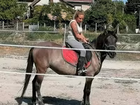 Kobyła, Polish pony — zdjęcie 5