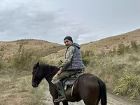 Horse (M), Azerbaijan horse — photo 1