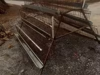 Katak 6 dona taklanib yigiladi — foto 2
