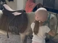 घोड़ी, घोड़े — फ़ोटो 5
