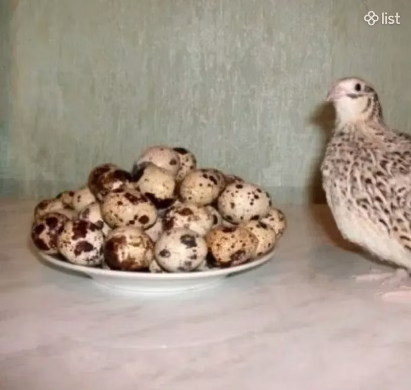 Естонська