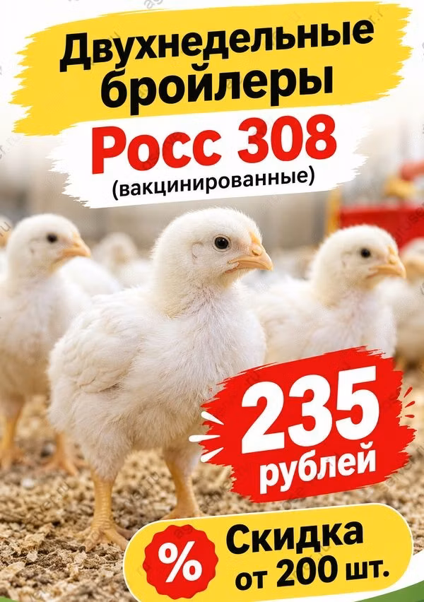 Ros 308
