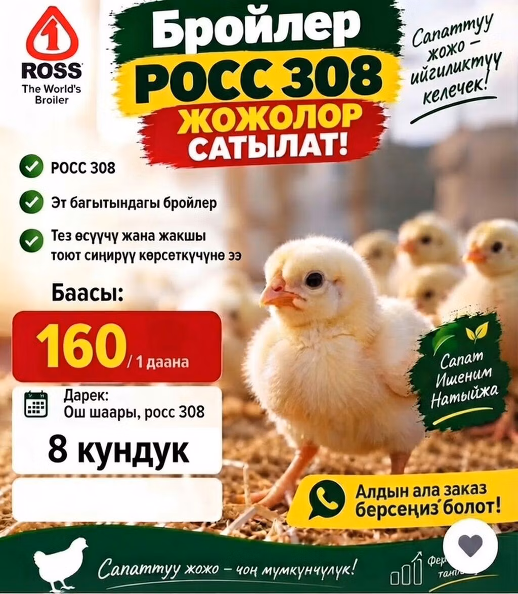 Ros 308